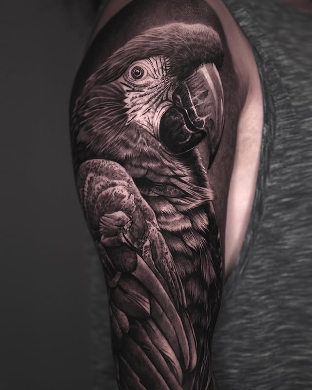 434281413_18428168542025443_1206289551352095943_n.